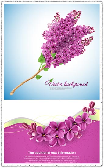 341x550 Lilac Flower Vector Card