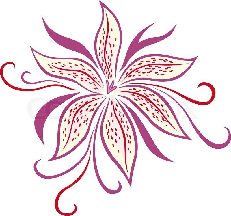 800x748 Lily Flower Isolated On White Background Vector Illustration