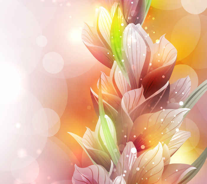 700x622 Free Free Vector Spring Lily Flower Background Psd Files, Vectors
