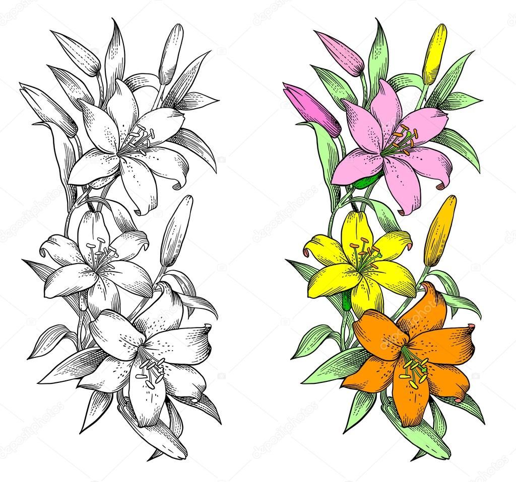 1024x958 Cho Lily Flower Vector Carving Patern In 2018