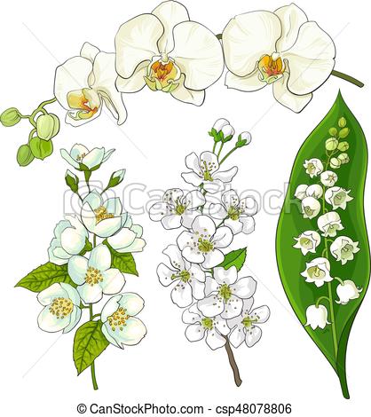 418x470 White Flowers