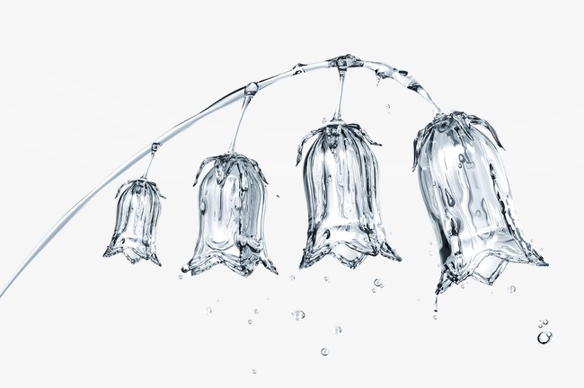 650x432 Lily Of The Valley, Spray, Drops, Transparent Png And Vector For