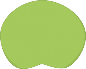 Lily Pad Vector