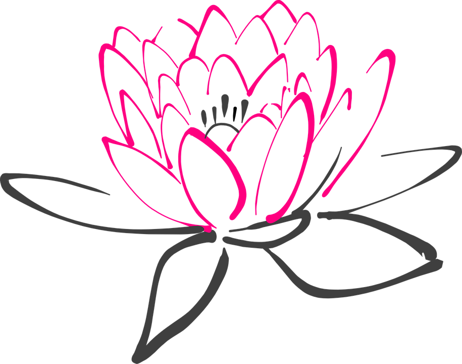 915x720 Lily Pad Clipart Vector 15