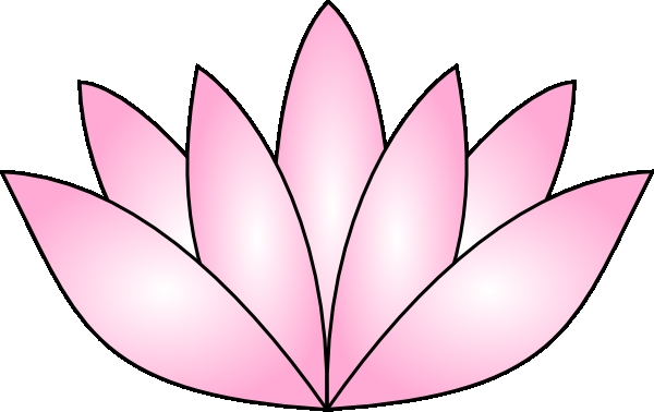 600x378 Lily Pad Flower Colors