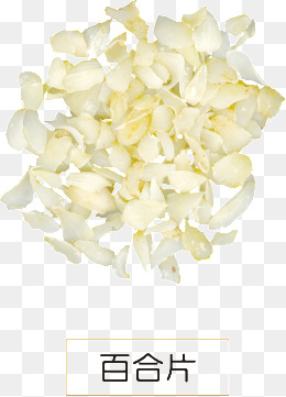 260x361 Lily Pad Png, Vectors, Psd, And Clipart For Free Download Pngtree