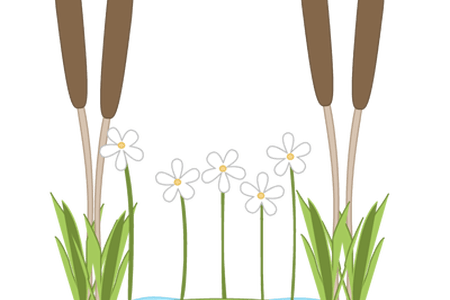 450x300 15 Pond Vector Lily Pad For Free Download On Mbtskoudsalg