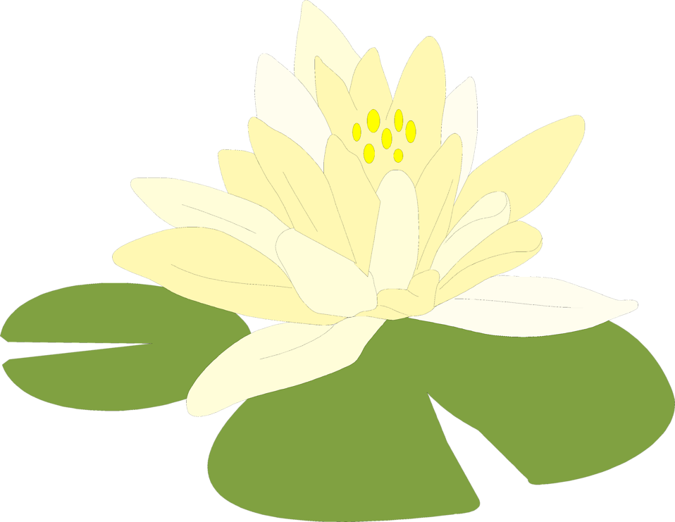 958x741 Lily Vector