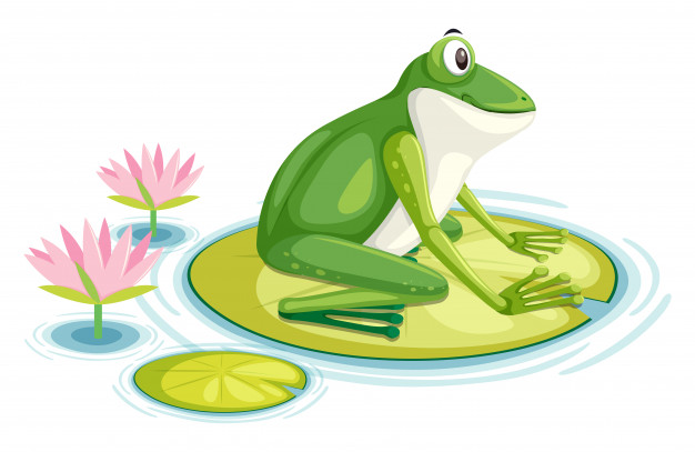 626x407 A Frog On The Lily Pad Vector Premium Download