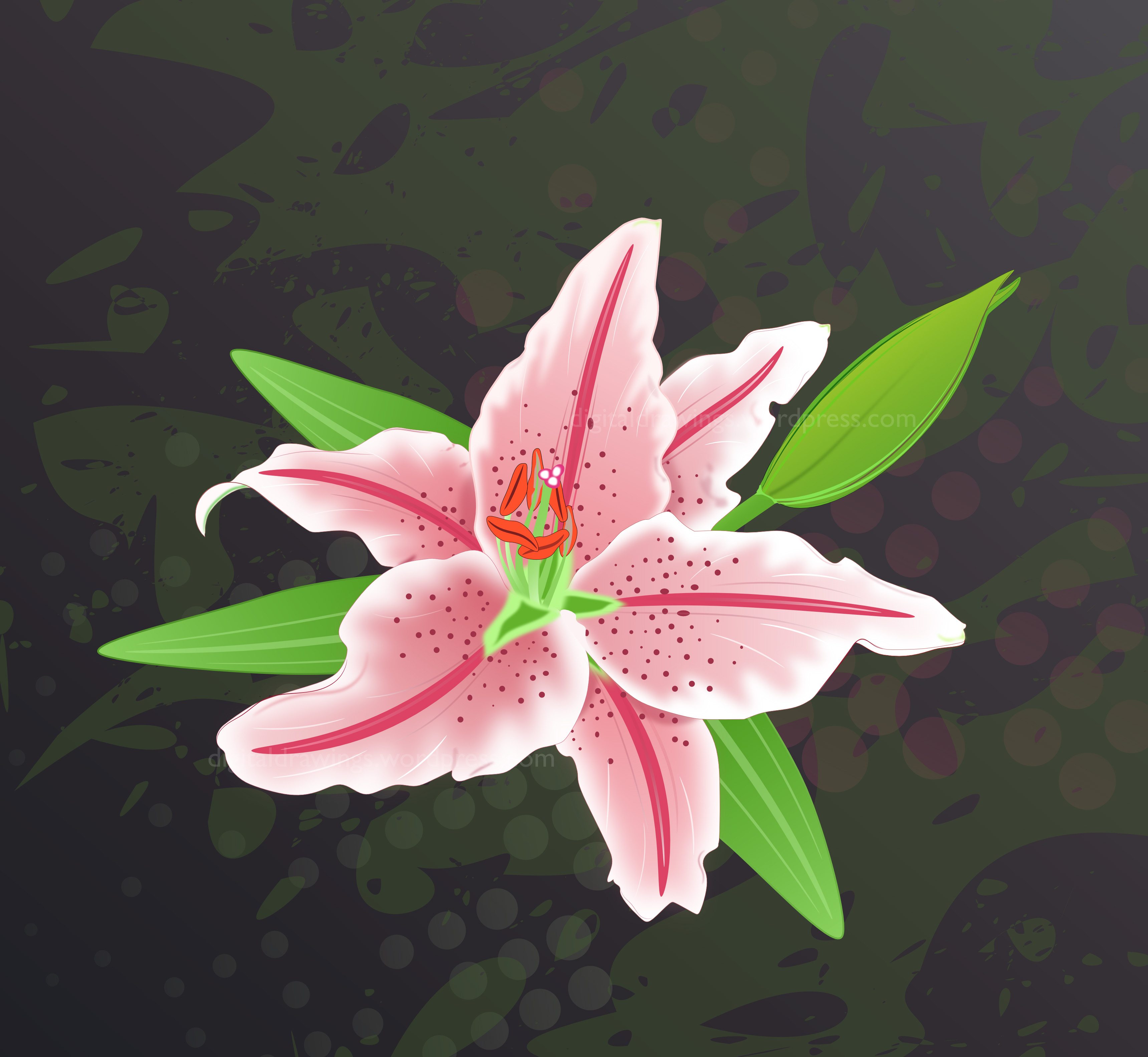 3439x3167 Lily Vector Grunge Abstract Background Flower Digital Drawings