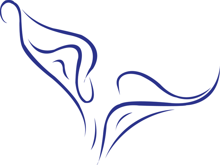 760x570 Download Vector