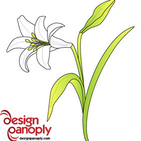 282x282 Easter Lily Vector Free Vector Download 420355 Cannypic