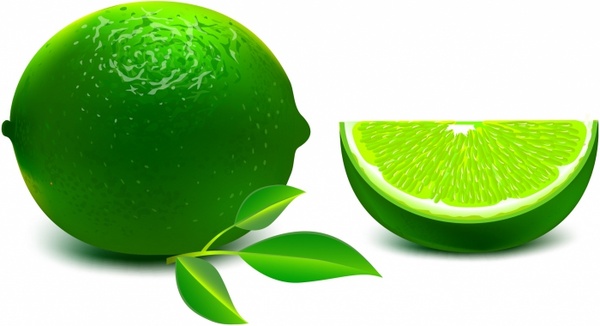 600x326 Lime Free Vector In Adobe Illustrator Ai ( .ai ), Encapsulated