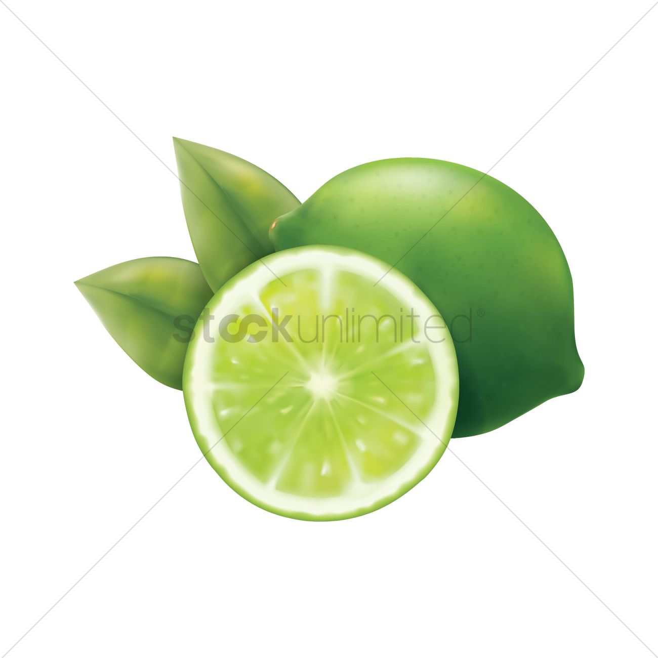 1300x1300 Lime Vector Image