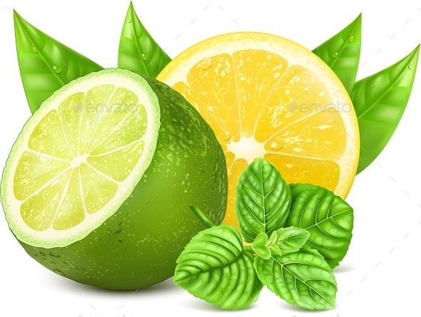 590x445 Yellow Lemon And Green Lime Vector By Paljas Graphicriver