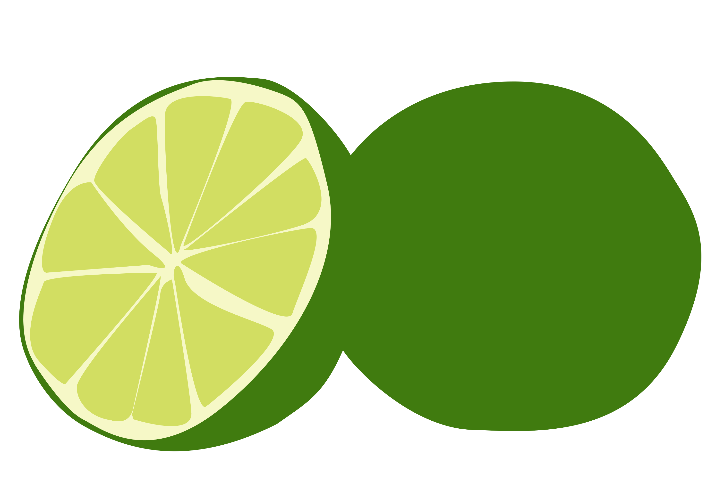 2948x2020 Lime Vector