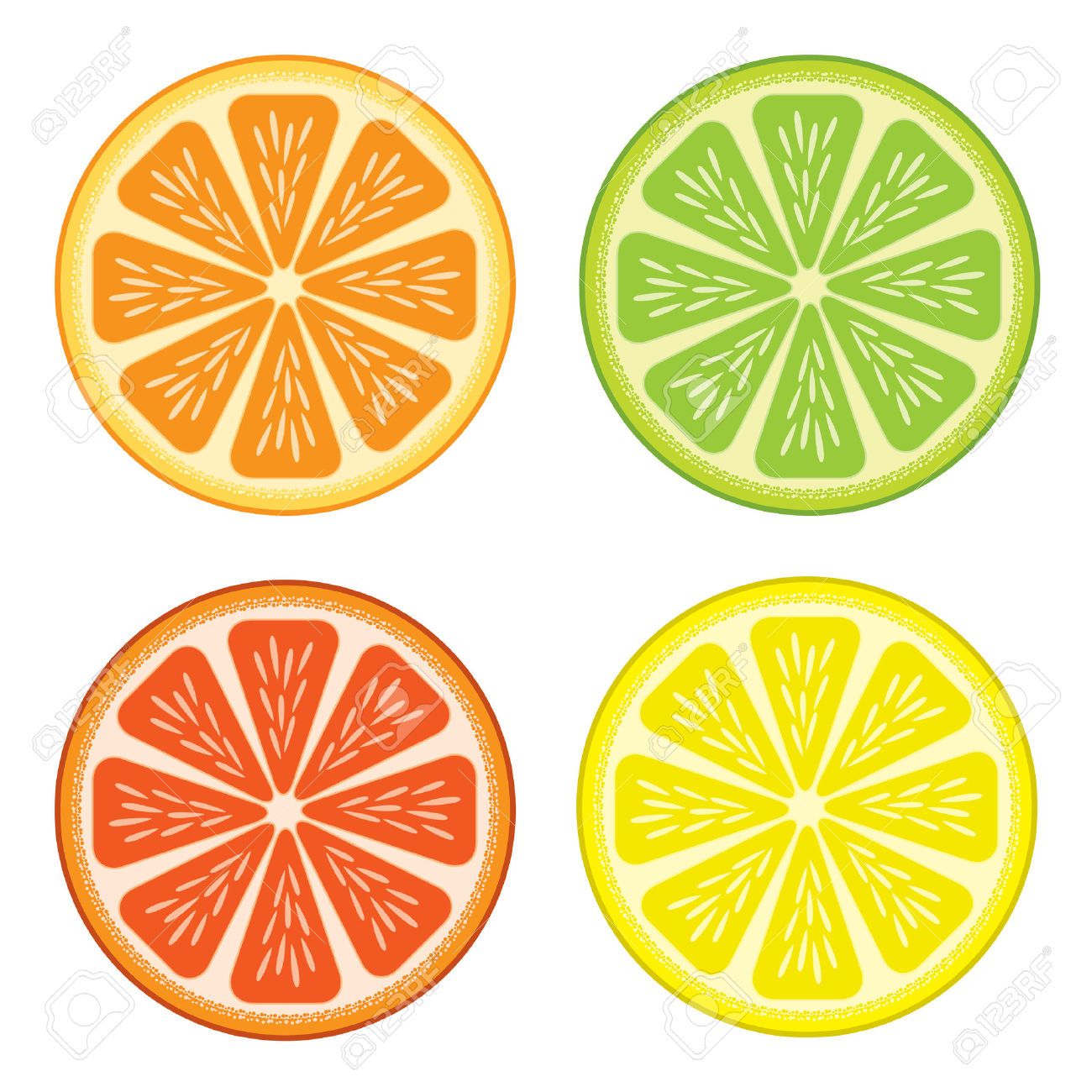 1300x1300 Lime Vector