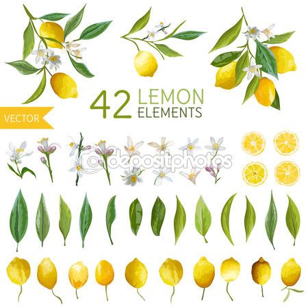 450x450 Limones Vintage, Flores Y Hojas. Bouquetes De Estilo