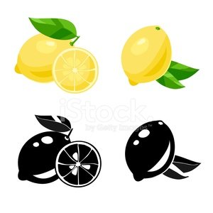 300x300 Vector Premium Clipart