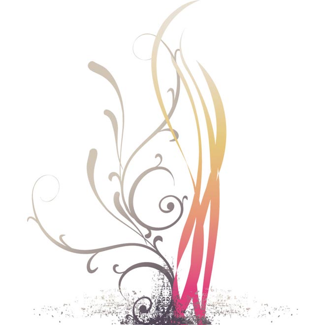 660x660 Colored Floral Line Art Vector By Cgvector