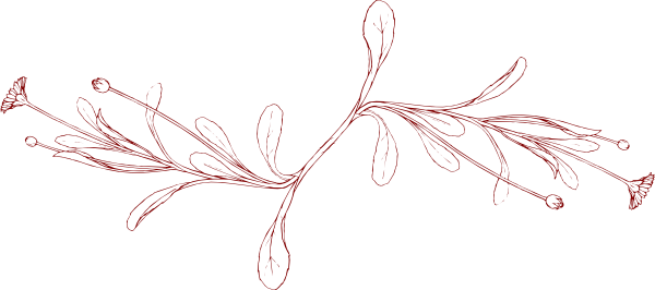 600x266 Decoration Clipart