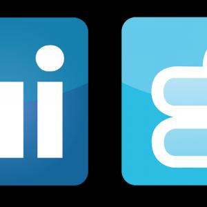 300x300 Linkedin China Logo Vector Png Arenawp