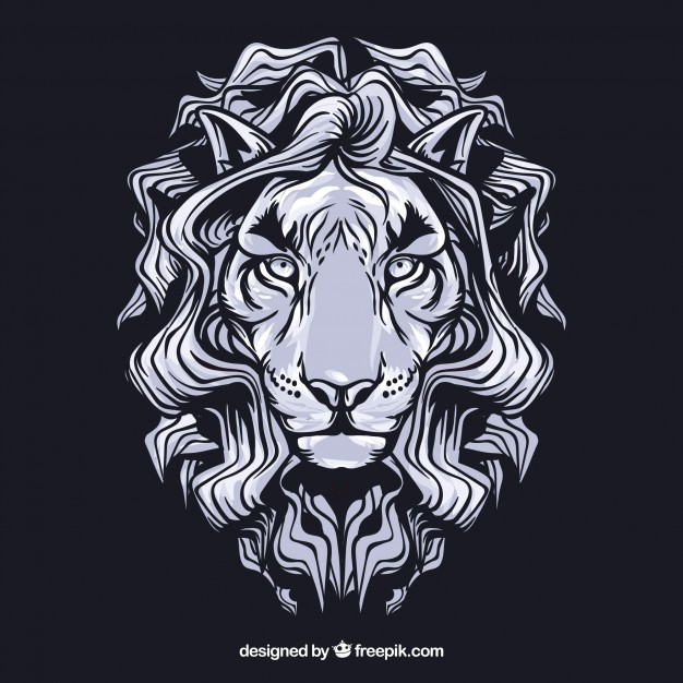 626x626 Lion Face Vectors, Photos And Psd Files Free Download