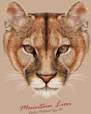 294x368 Lion Head Vector Free Vector Download (2,104 Free Vector) For