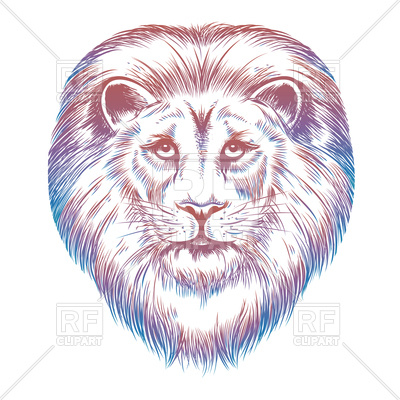 400x400 Colorful Hand Drawn Lion Head Vector Image Vector Artwork Of