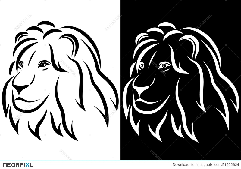 800x563 Lion Head. Black And White Silhouette. Logo. Vector Illustration