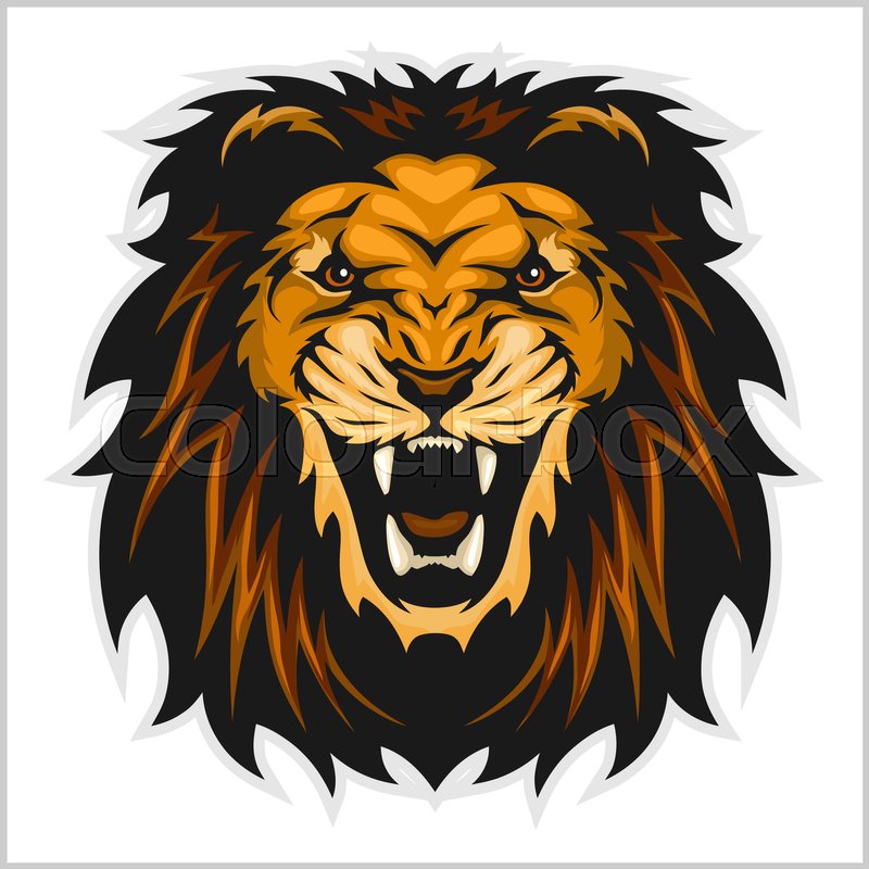 800x800 Lion Head Vector Illustration On White Background Stock Vector