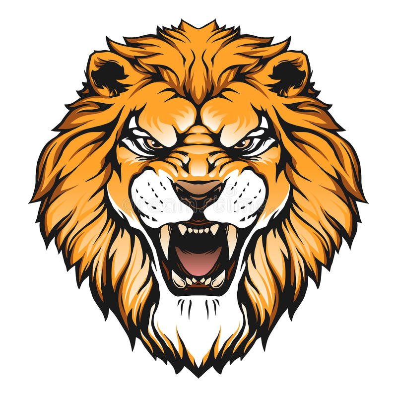 800x800 Lion Face Vector Lion Head Illustration Stock Vector Illustration