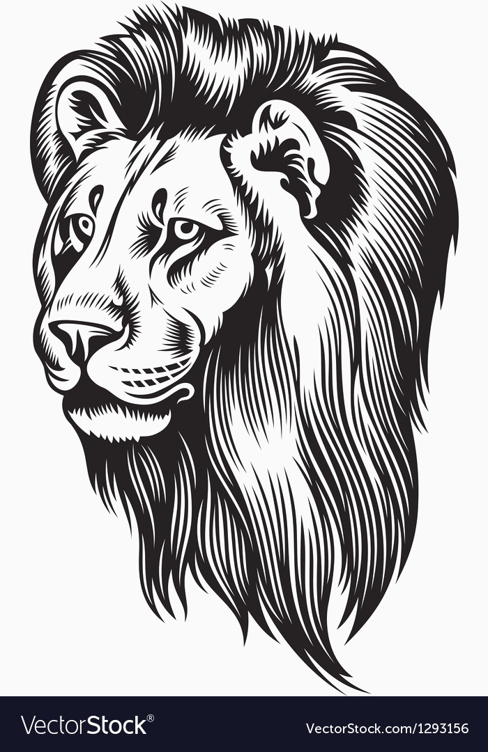 700x1080 Lion Head Vector Luxury Lion Head Royalty Free Vector Image