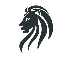 300x240 Search Photos Lion Head