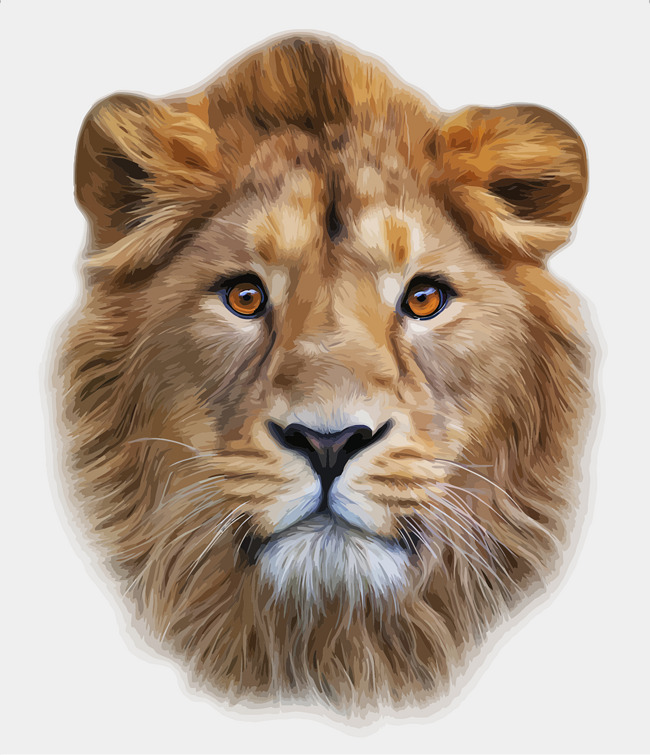 650x755 Vector Lion Head, Head Clipart, Vector, Lion Png And Vector For