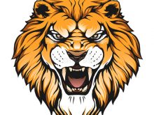 220x165 Lion Face Vector Lion Head Stock Images Royalty Free Images