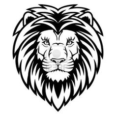 236x236 Lion King Pics. Lions And Tattoo