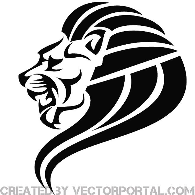 660x660 Lion Illustrator Drawing Free Vector 123freevectors