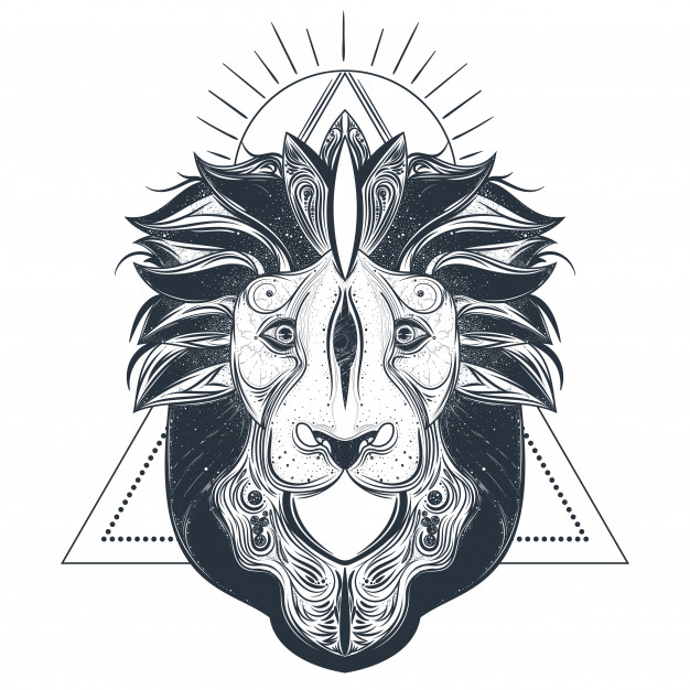 626x626 Lion Head Line Art Vector Illustration Vector Free Download