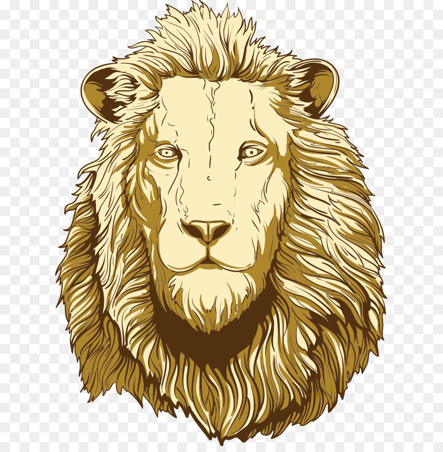 900x920 Lions Head Illustration