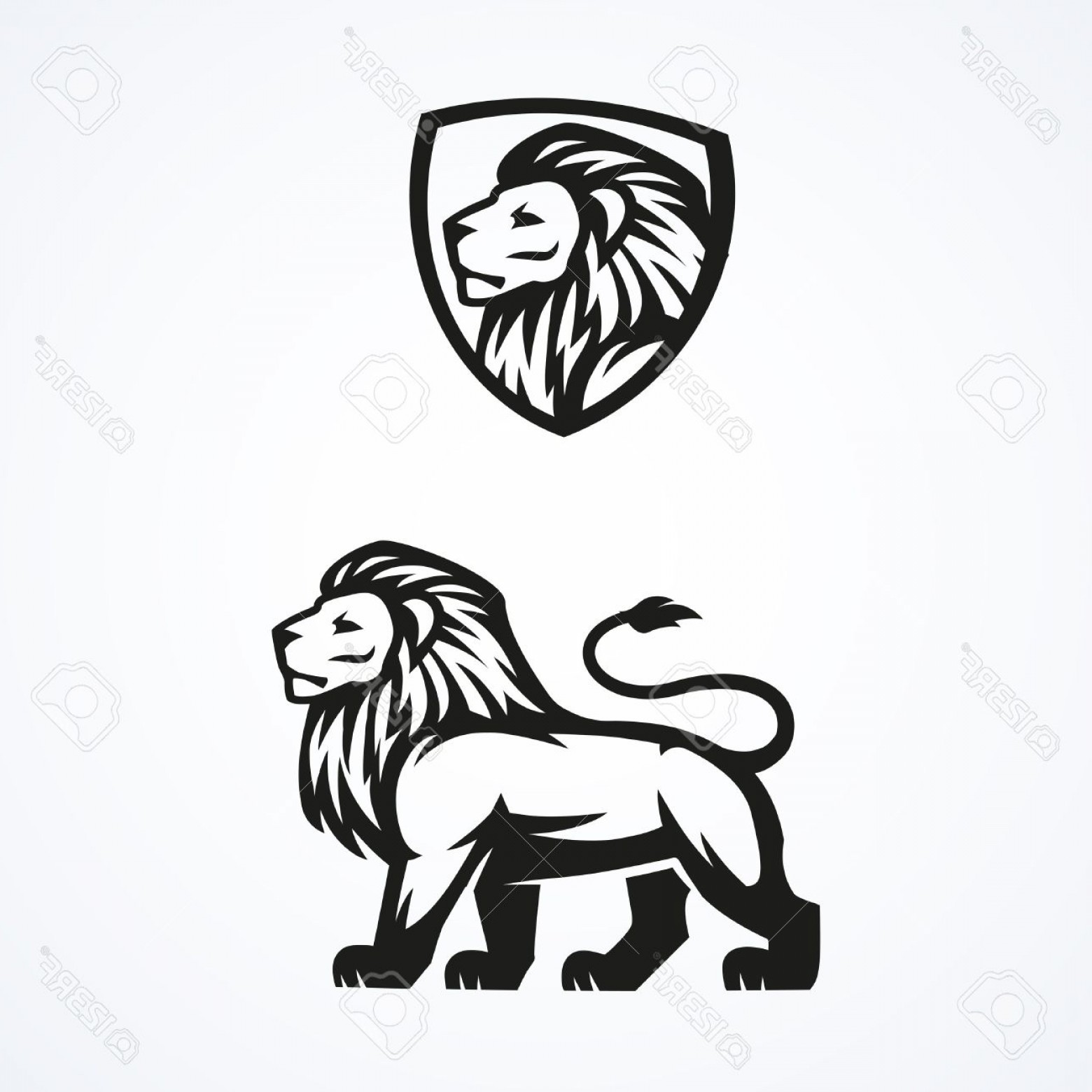 1560x1560 Photostock Vector Lion Logo Sport Mascot Emblem Vector Design
