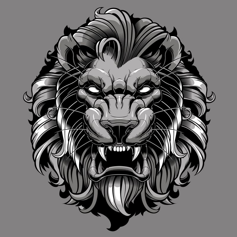 800x799 Pin By Jpl Ramirz On Leon Of Lion Lion Vector