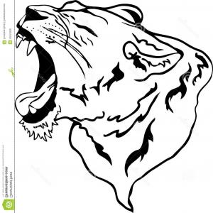 300x300 Royalty Free Stock Photos Lion Illustration Image Orangiausa