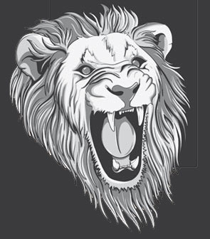 295x336 Sketch Lion Illustration Vector