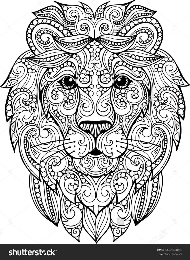 736x1009 Drawn Lion Illustration