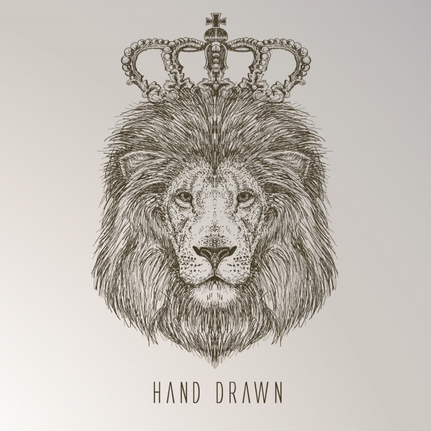 626x626 Lion King Vectors, Photos And Psd Files Free Download