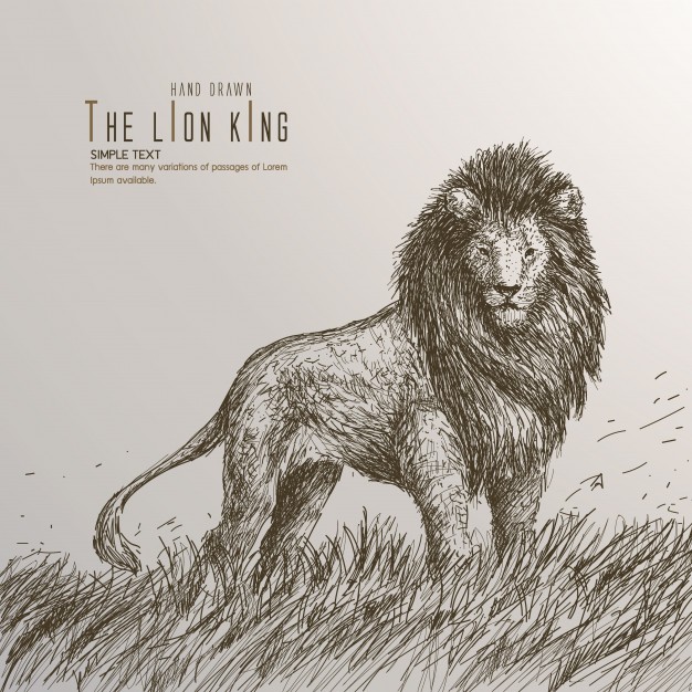 626x626 Hand Drawn The Lion King. Vector Premium Download
