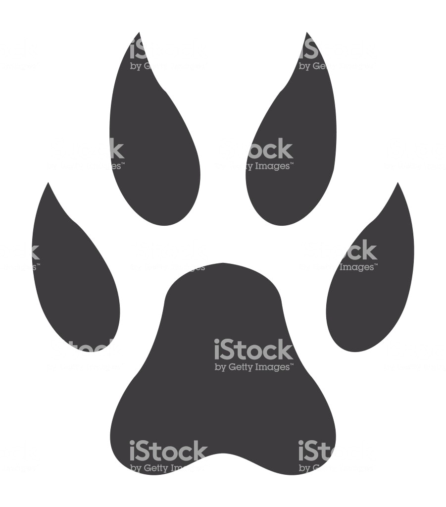 901x1024 Lion Paw Print Icon Vector Id914104558 16