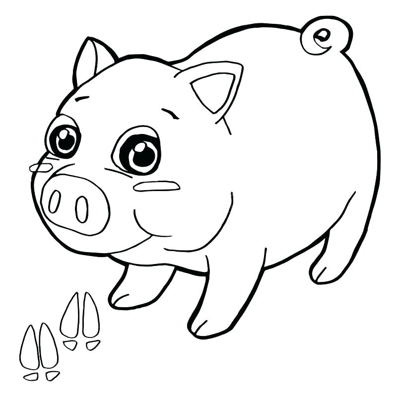 800x800 Paw Print Coloring