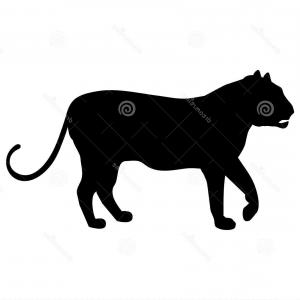 300x300 Paw Print Master Vector X Png Lazttweet